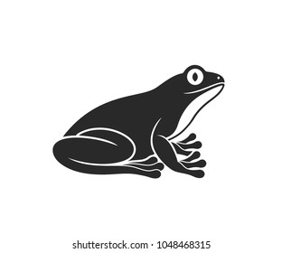 Tree frog. Isolated frog on white background

