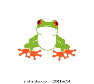 Tree frog. Isolated frog on white background