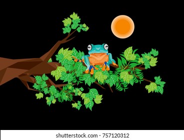 Tree frog, frog in the night, wallace's frog illustration