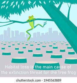 Tree frog on a falling tree. Stumps on the valley and a silhouette of the city on the background.