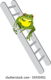 Tree Frog on a ladder