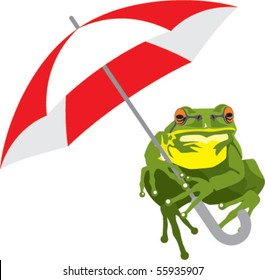 Tree Frog with umbrella