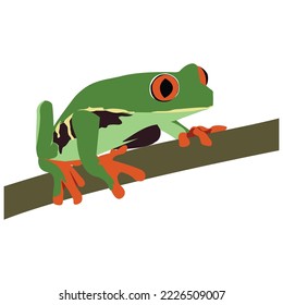 tree frog vector design in its original color orange green. sitting on a branch