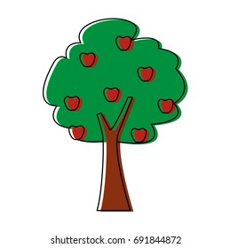 tree fruit botanical nature forest ecology