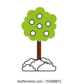 tree with fruit natural forest environment concept