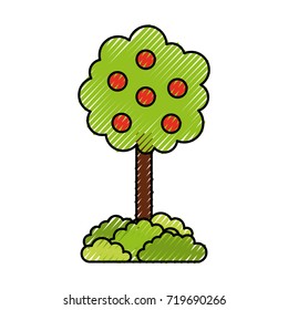 tree with fruit natural forest environment concept