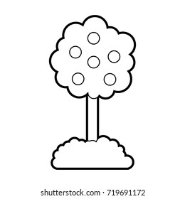 tree with fruit natural forest environment concept