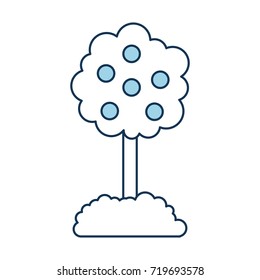 tree with fruit natural forest environment concept