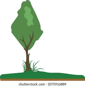 a tree at garden in Javanese