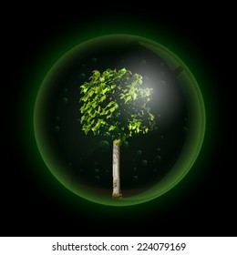 Tree in glass ball retort. Vector