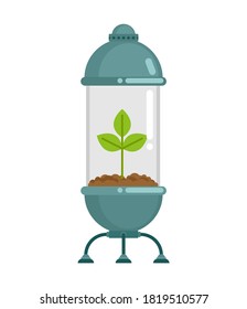 Tree in glass flask. Plant in Glass Bell. Nature conservation concept. Laboratory jar and wood. For poster about environment
