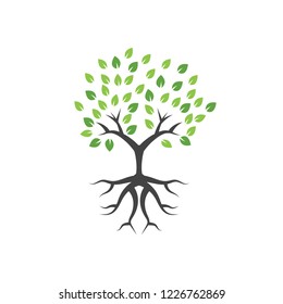 Tree graphic design template vector illustration isolated