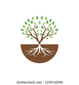 Tree graphic design template vector illustration isolated