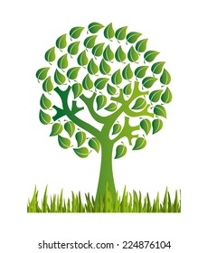 tree graphic design , vector illustration