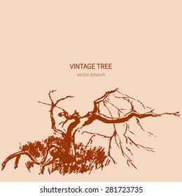 Tree graphic hand drawn vector engraving doodle sketch isolated on background, vintage style, template for design pattern, collection of brush, printing, elements package organic eco product