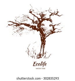 Tree graphic hand drawn vector engraving doodle sketch isolated on white background, vintage style, template for design pattern, collection of brush, printing, elements package organic eco product