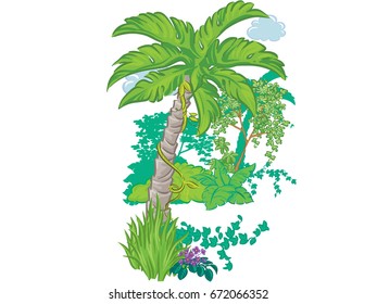 tree and grass bush 