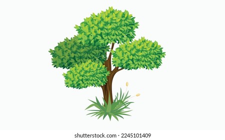 Tree and grass design eps vector