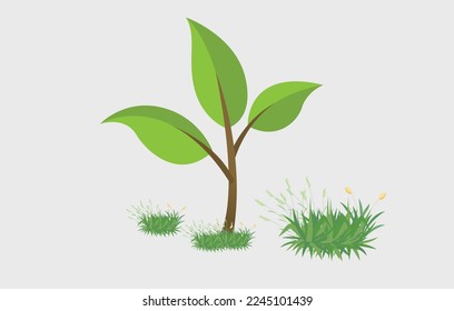 Tree and grass design eps vector