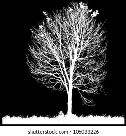 Tree with grass on black.