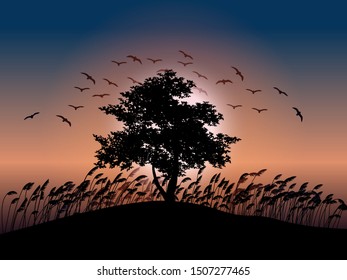 tree and grass silhouette with birds in sunset