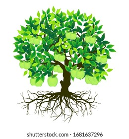 tree and green apple vector illustration