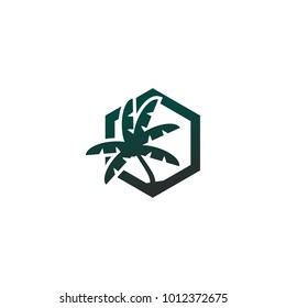 Tree with green and brown color logo design concept vector