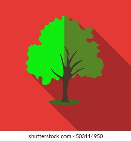 Tree with green crown icon. Flat illustration of willow tree vector icon for web