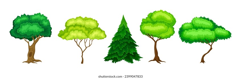 Tree with Green Crown and Trunk as Forest Element Vector Set