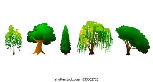 Tree with green crown Vector Illustration EPS10