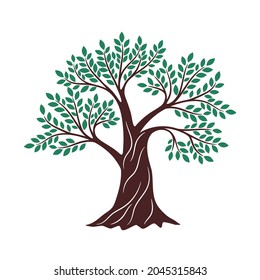 Tree green drawing. Oak graphics, environment religious creative knowledge logo branding element, genealogy wood vector illustration on white background