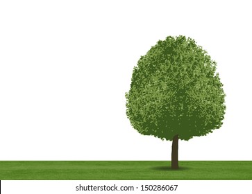 Tree and green field on white background - Vector illustration