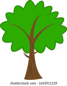 tree with green fluffy top Forest plant on a white background concept of nature and environment logo for design patterns on a brown trunk