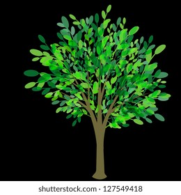 Tree with green foliage