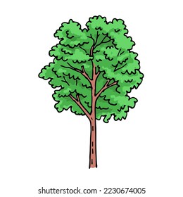 Baum mit grünem Blattwerk. Template-Element für Design und Dekoration. Natur und Wald. Cartoon, Vektorgrafik einzeln auf weißem Hintergrund. Handgezeichnete Skizze