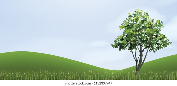 Tree in green grass hill area with blue sky. Abstract background park and outdoor for landscape idea. Use for natural article both on print and website. Vector illustration.