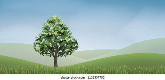 Tree in green grass hill area with blue sky. Abstract background park and outdoor for landscape idea. Use for natural article both on print and website. Vector illustration.