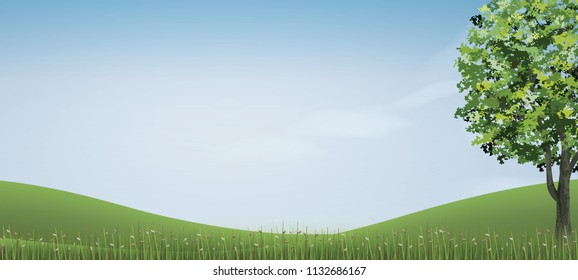 Tree in green grass hill area with blue sky. Abstract background park and outdoor for landscape idea. Use for natural article both on print and website. Vector illustration.