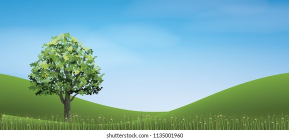 Tree in green grass hill area with blue sky. Abstract background park and outdoor for landscape idea. Use for natural article both on print and website. Vector illustration.