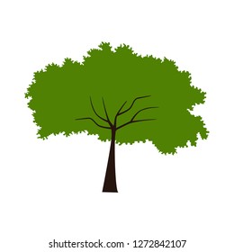 tree green hill vector with tree vector illustration design landscape