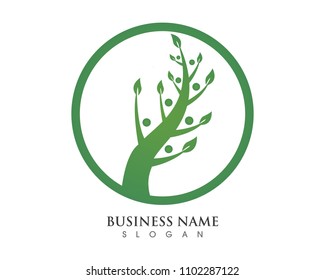  Tree green identity card vector logo template
