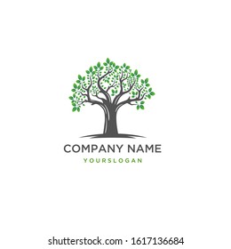 Tree with green leaf and grey branch natural logo vector illustration