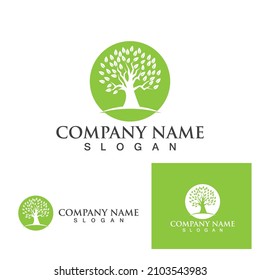 Logo y símbolo de la hoja verde del árbol