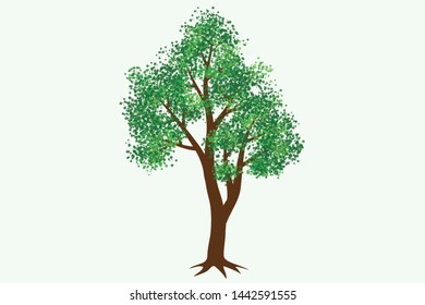  tree with green leaf vector illustration, tree vector 