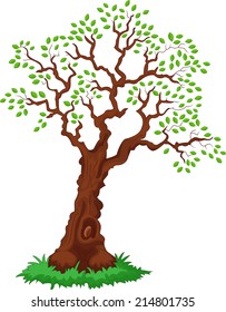 Tree with green leafage.