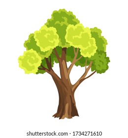 Tree with green leafage. Abstract stylized tree