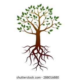 Tree, green leafs and roots
