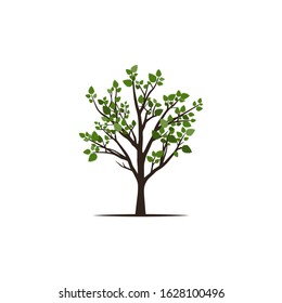 Tree with Green Leafs. Vector Illustration.