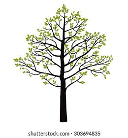 Tree and Green Leafs. Vector Illustration.