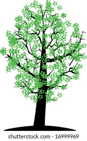 Tree with green leaves